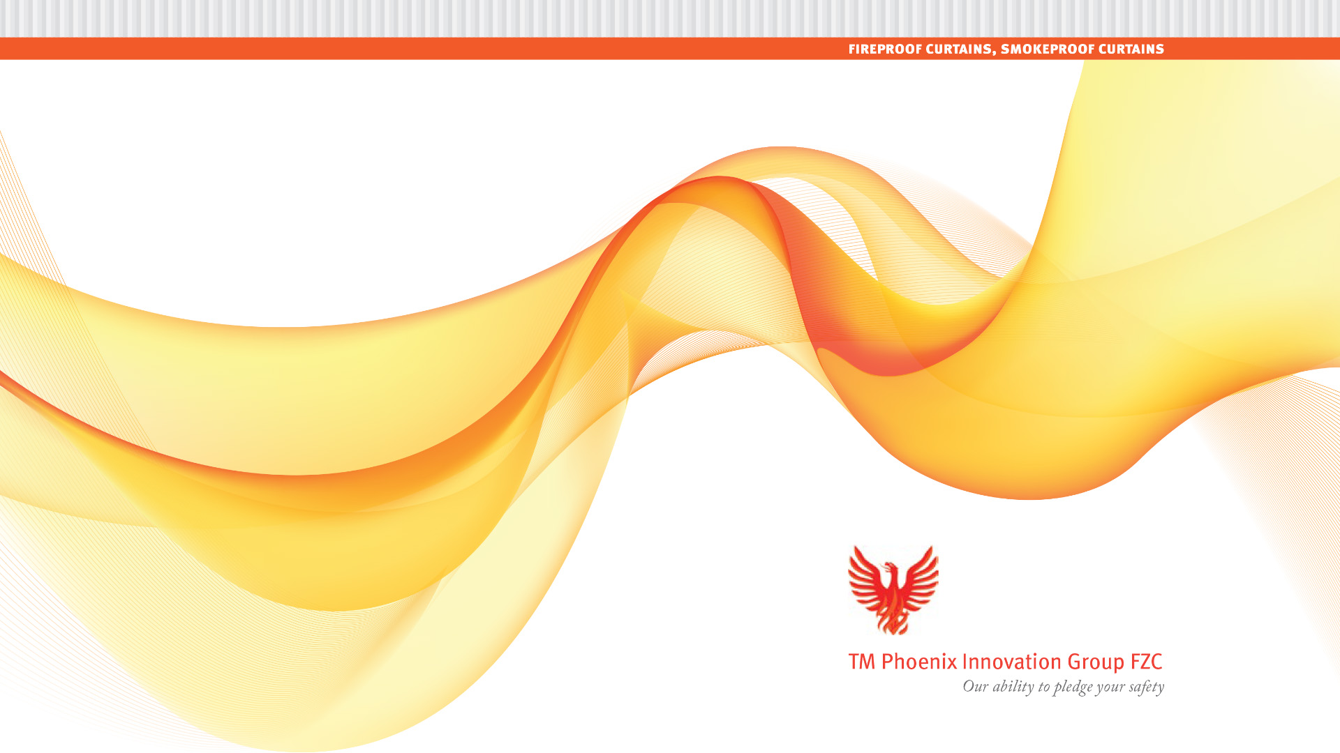 Phoenix Innovation Group